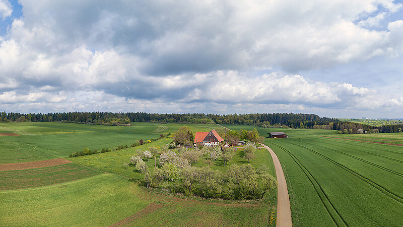 Karte