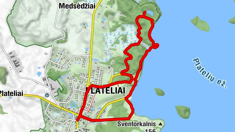 Lietuviški valgiai - Platelių šašlykinė - Plateliai - Edenas