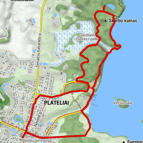 Lietuviški valgiai - Platelių šašlykinė - Plateliai - Edenas