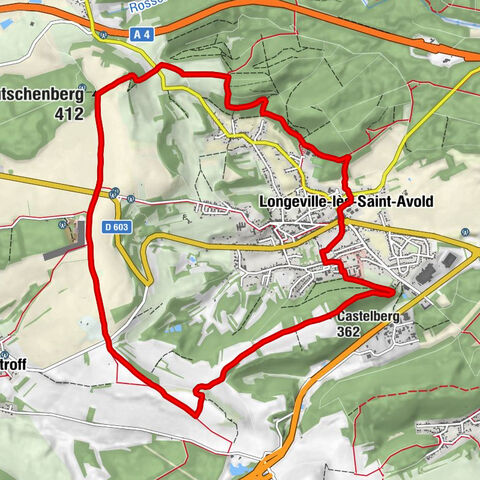 Longeville-lès-Saint-Avold - Castelberg - Mutschenberg - point de vue sur casemate