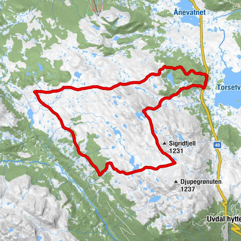 Torsetlia - Torsetlia Fjellstue