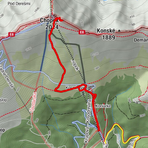 Srdiečko - Kosodrevina - Chopok - Kamenná chata pod Chopkom