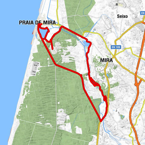 Mira - Lagoa - Praia de Mira
