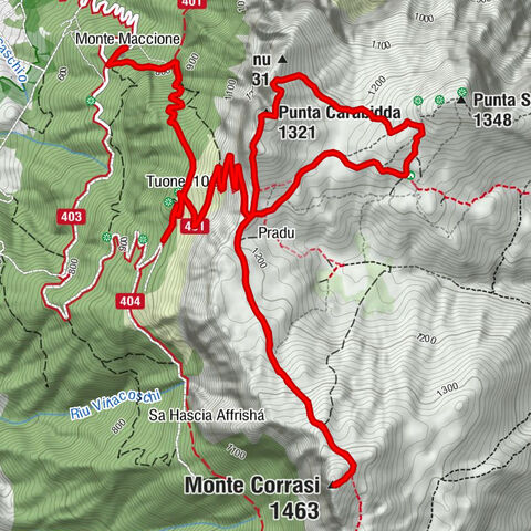 Monte Maccione - Punta Carabidda - Punta Ortu Caminu - Monte Corrasi