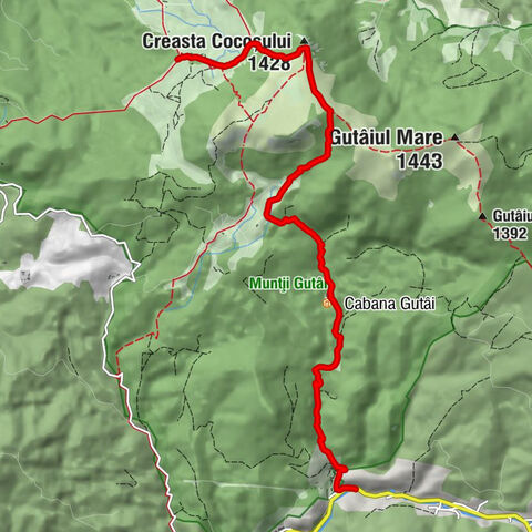 Desești - Creasta Cocoșului - Izvor Creasta Cocoșului - Refugiul Montan Creasta Cocoșului