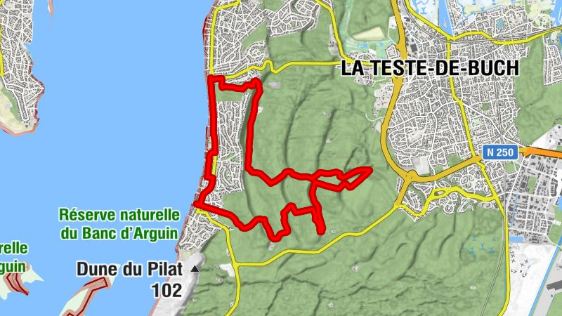 Karte