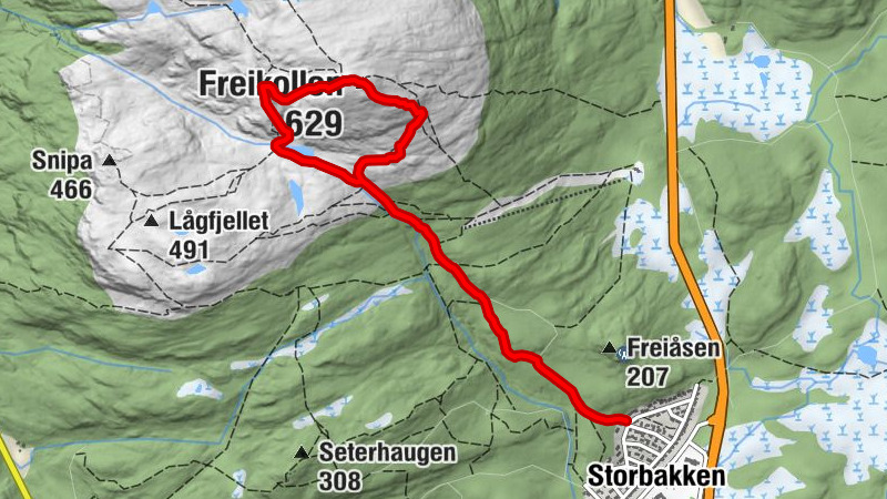 Storbakken - Freikollen
