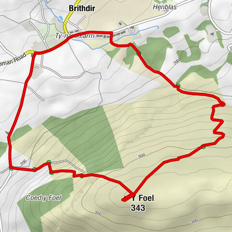 Brithdir and Llanfachreth - Y Foel - Brithdir