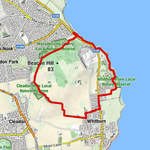 South Tyneside - Whitburn - Gateshead - The Marsden Grotto