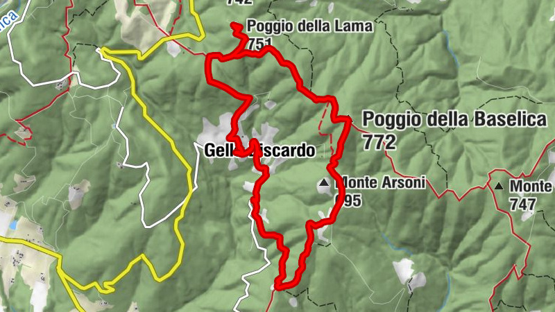Gello Biscardo - Poggio della Lama - Poggio della Baselica - La Luna Nel Pozzo