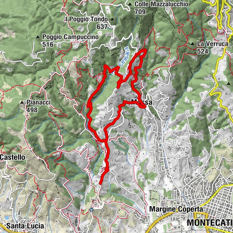 Colle di Buggiano - Cozzile - Chiesa di Santa Maria Assunta - Chiesa del Suffragio