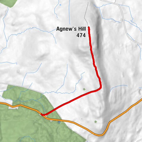 Old Freehold - Agnew's Hill