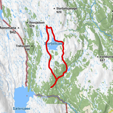 Røros - Brannomhøgda