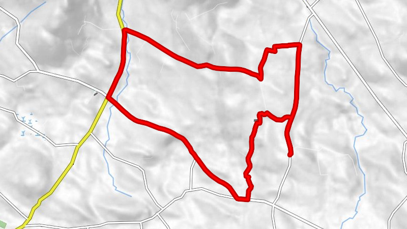 Deehommed - Flax at Turley's - Dechomet
