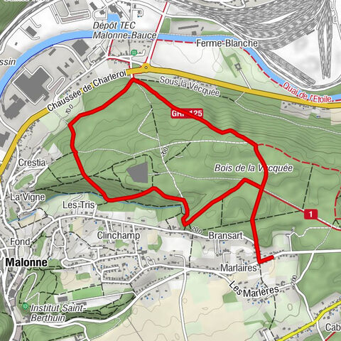 Marlaires