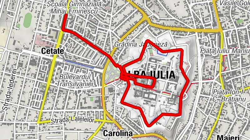 Cetate - Biserica Ortodoxă Sfântul Mina (1966) - Biserica Sf Mina - Catedrala Reîntregirii Neamului