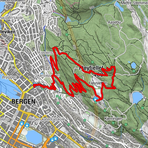 Bergen - Fløyfjellet - Hesten trenger kvile - Centralkirken Bergen
