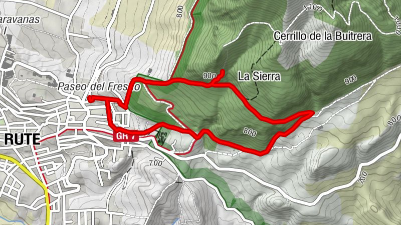 Rute