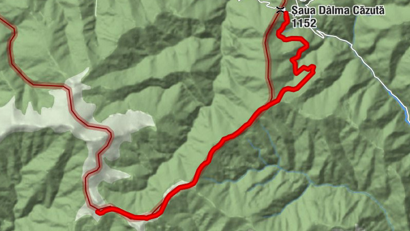 Runcu