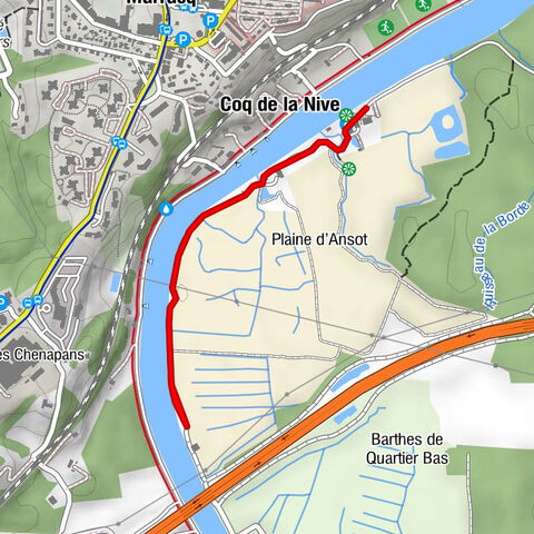 Bayonne - Coq de la Nive