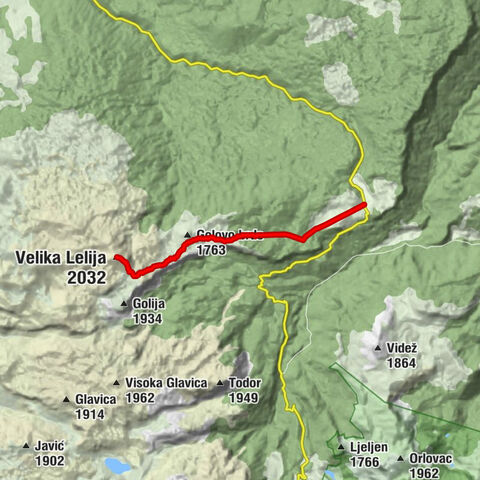 Velika Lelija