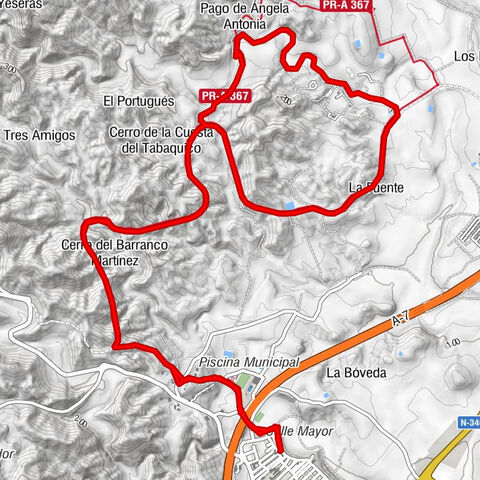 Los Gallardos - Pecho de las Almendras - Pago de Ángela Antonia