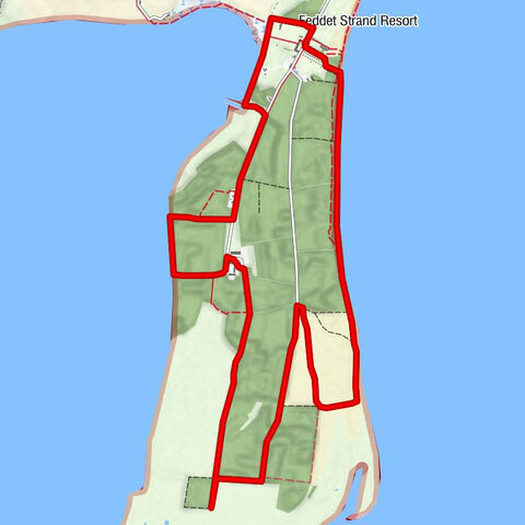 Restaurant Feddet - Feddet