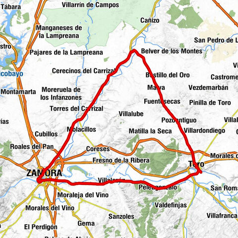 La Estación - Iglesia del Santo Sepulcro - Iglesia parroquial San Blas - Toro