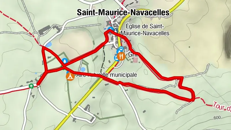 ESSENZEN UND SINNE - DER BAUMWEG