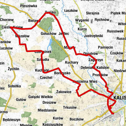 Kalisz - Kościół pw. św. Trójcy - Kaplica Nawiedzenia Najświętszej Maryi Panny