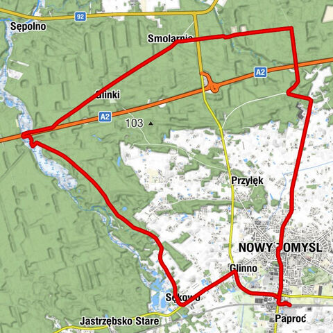 Paproć - Nowy Tomyśl - Glinno