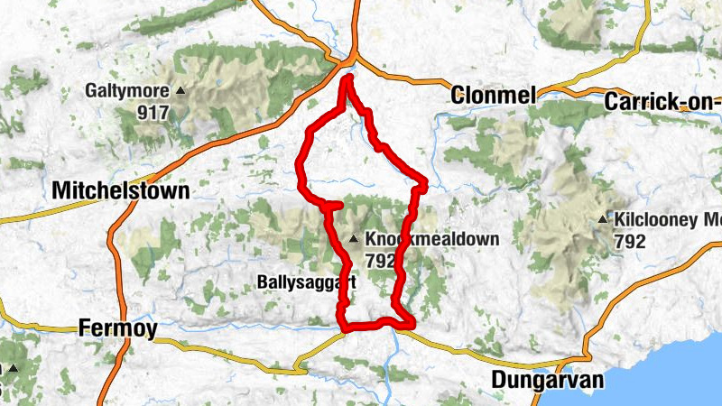 Cahir - Our Lady and St. Kieran - St. Anne's Church - Our Lady of the Assumption