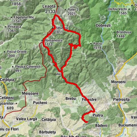 Runcu - Cabana Leaota - Curmătura Tâncavei