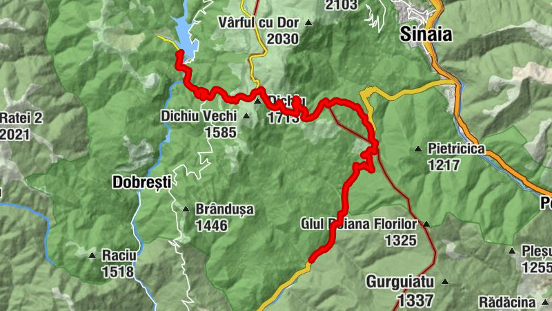 Sinaia - Izvor - Cuibul Dorului - Șaua Dichiu