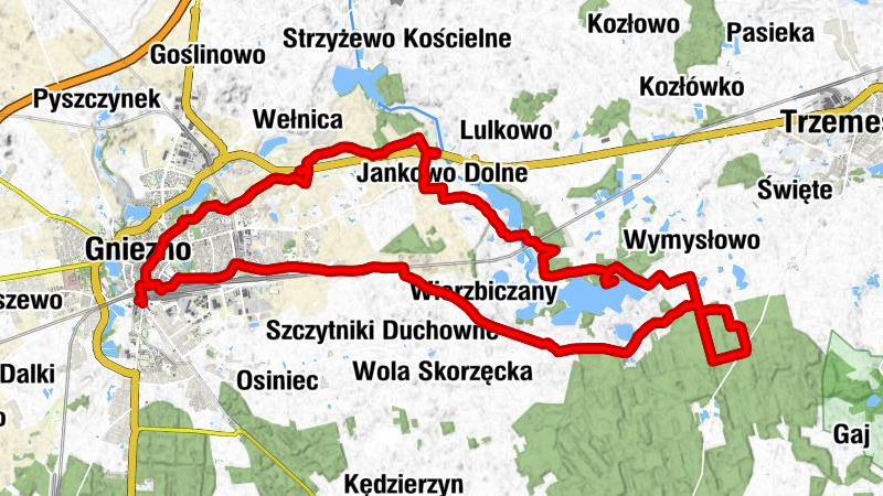 Gniezno - Kościół pw. Najświętszej Maryi Panny Królowej Polski - Kościół pw. św. Michała Archanioła - Kościół bł. Jolenty