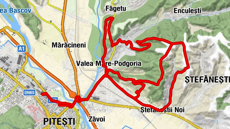 Pitești Nord - Pitești - Valea Mare-Podgoria - Festino