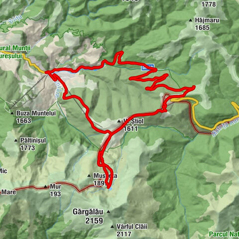 Borșa - Cabana Alpina - Cabana Dacilor - Mănăstirea Sfânta Treime