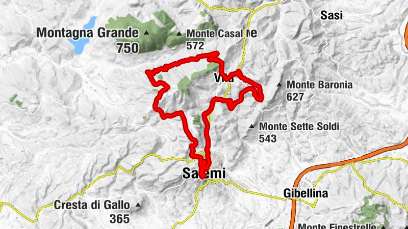 Salemi - Vita - Filci