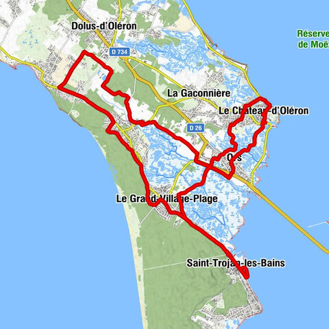 Le Château-d'Oléron - Montravail - Lotissement les Brigannières - Ors