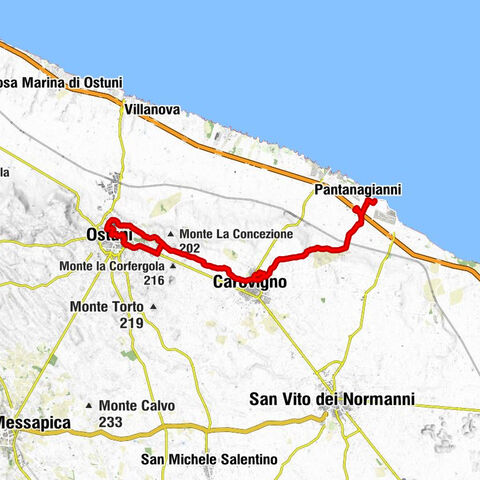 Carovigno - Cappella Madonna Immacolata - Chiesa e Convento San Francesco da Paola - Chiesa San Francesco di Assisi