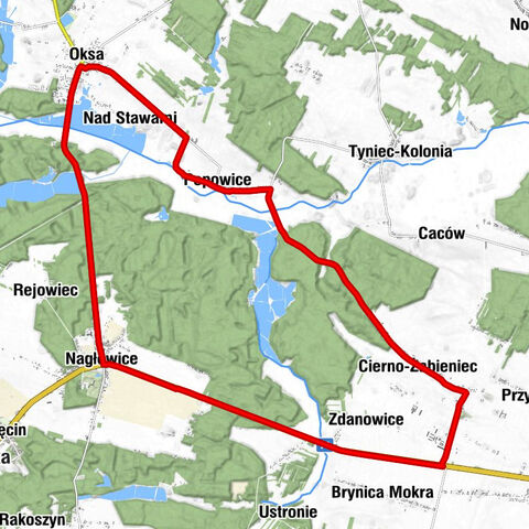 Cierno-Żabieniec - Cierno Poduchowne - Kościół pw. Niepokalanego Poczęcia Najświęszej Maryi Panny i Świętego Mikołaja - Nagłowice