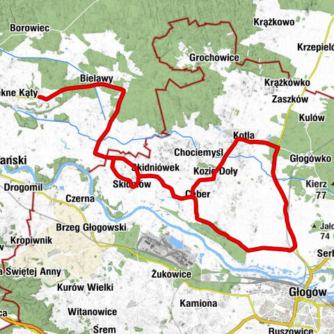 Różanówka - Bielawy - Kierzno - Głogów