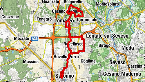 Lomazzo - Chiesa dei Santi Vito e Modesto - Chiesa di San Francesco - Rovello Porro