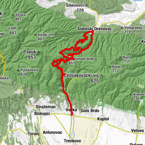 Velika - Čiča Mata - Slatinski Drenovac