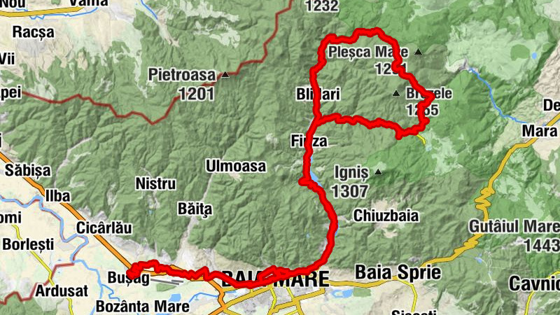 Bușag - Biserica Sfânta Elisabeta - Biserica Penticostală Ferneziu - Cabana Maratex / Pensiunea Izvoare
