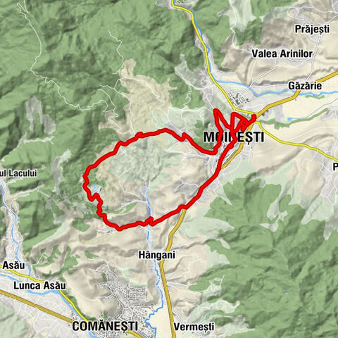 Pensiunea Monden - Moinești