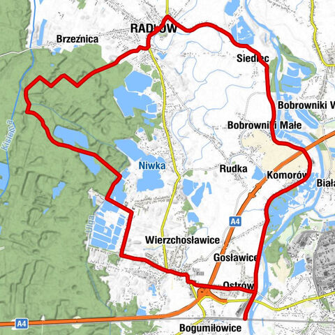Radłów - Kościół Matki Bożej Pocieszenia w Wierzchosławicach - Rektorat pw. Błogosławionej Karoliny Kózka w Siedlecach - Kościół św. Jana Chrzciciela w Radłowie