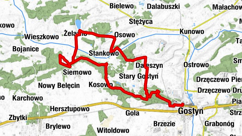 Gostyń - Żelazno - Daleszyn