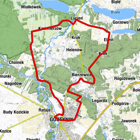 Gostynin - Bierzewice - Kościół parafialny pw. Matki Bożej Różańcowej