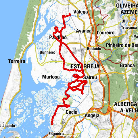 Válega - Pardilhó - Capela de São Felipe de Néri - Igreja de Veiros